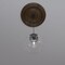 Ekena Millwork Cole PVC Medallion (Canopies up to 6"), 22"OD x 3 1/2"ID x 1"P, Textured Metallic Mystic Brown CMP22COAMB - alternate 9